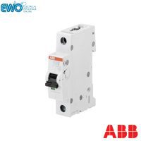 Single Pole, C-Curve, 63amp circuit breaker.