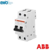 Double Pole, D-Curve, 16amp circuit breaker.